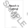 BKPES24-NS019_Pesach_Book_2-1