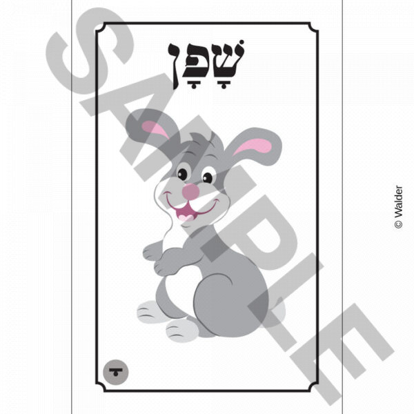 Shafan (Rabbit) Reader