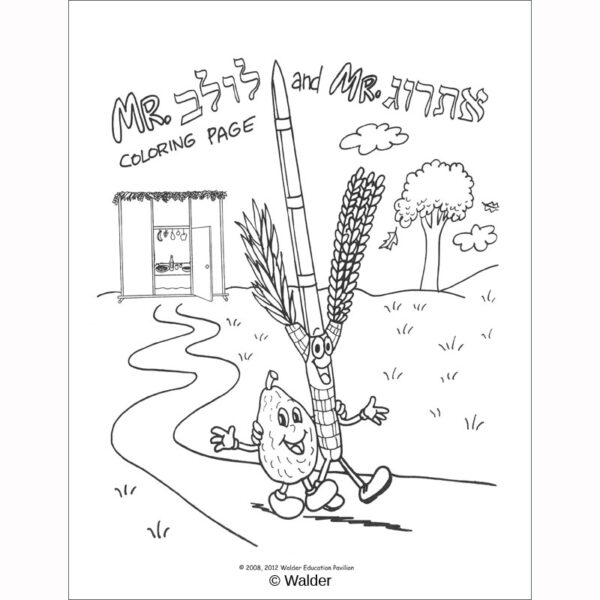 My Sukkot Fun Time Book