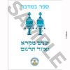 Sefer Bamidbar for Shnayim Mikrah