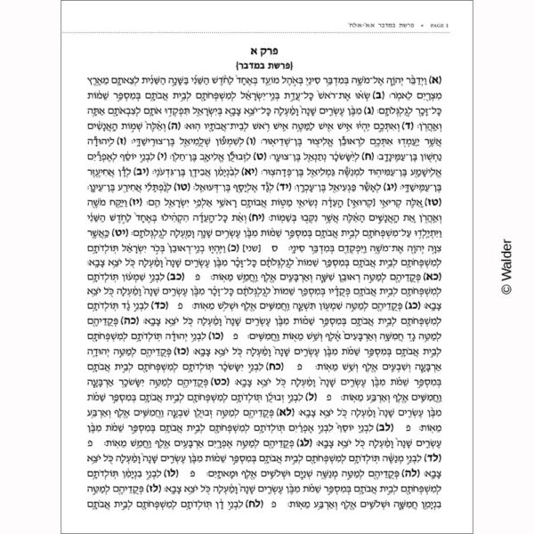 Sefer Bamidbar for Shnayim Mikrah