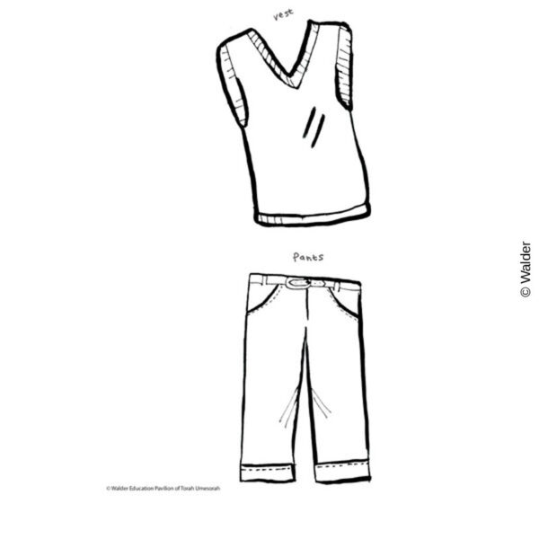 Dress the Doll