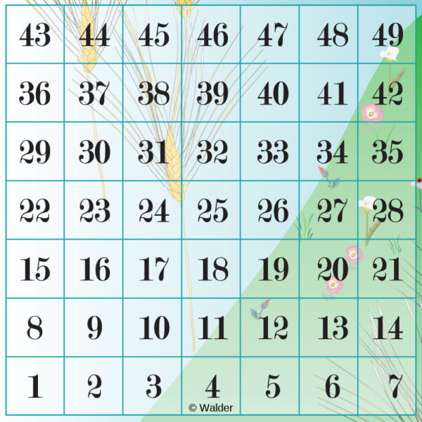 Sefiras Haomer Chart