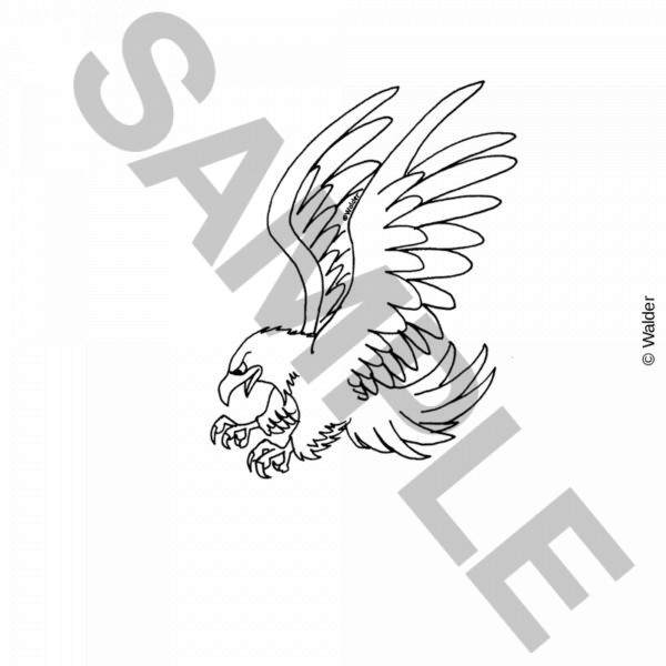 Bird: Eagle