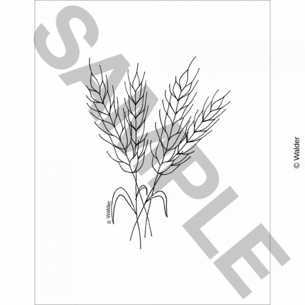 CALIF22-AL0230