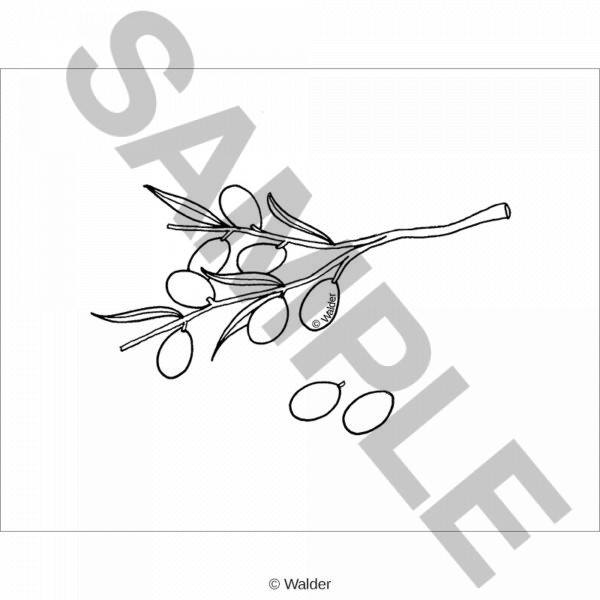 CALIF22-AL0231