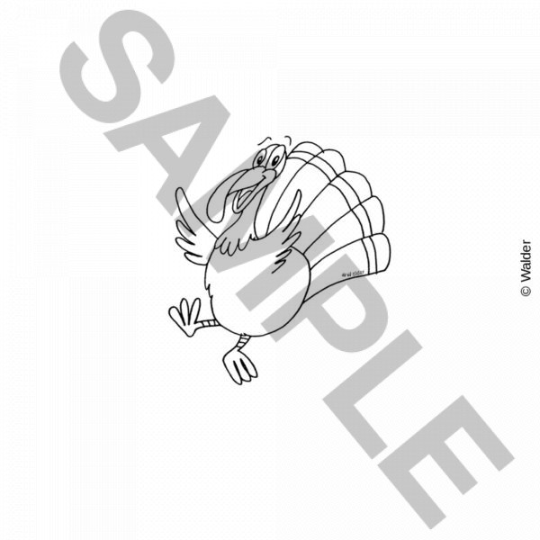 Dancing Turkey