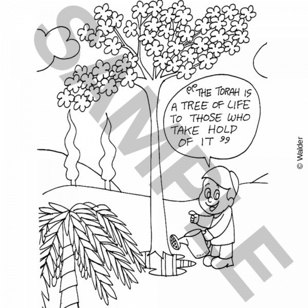 Torah is a Tree of Life