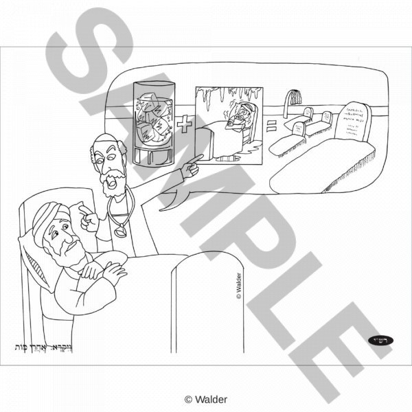 CRVAY16-PP006
