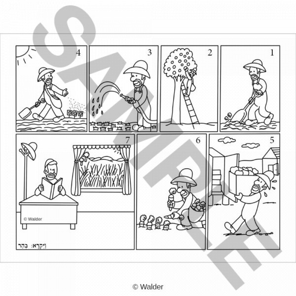 CRVAY16-PP009