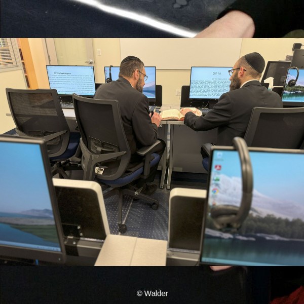 GASEC16-JF383.3