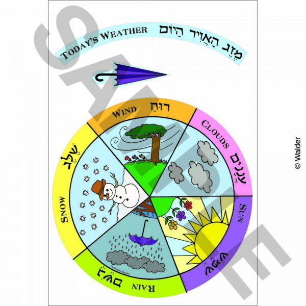 PSHEB19-SB037
