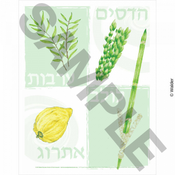 Arbaas Haminim, Four Species