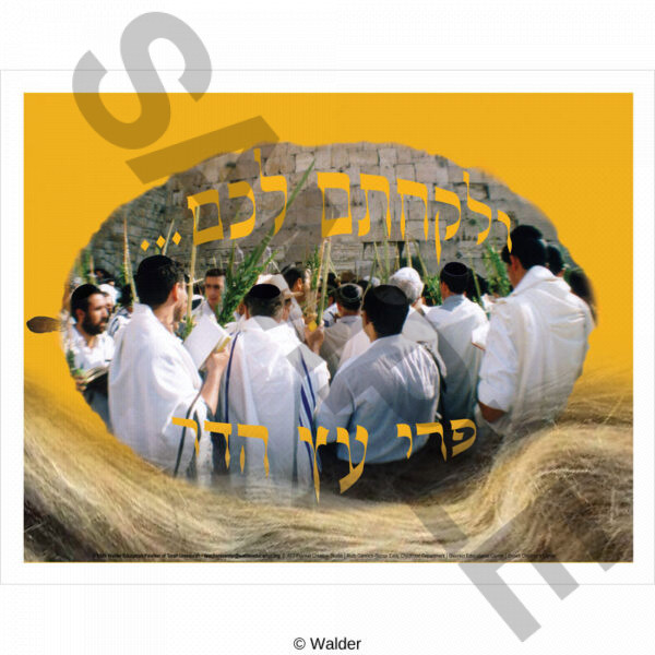 Sukkos at the Kosel